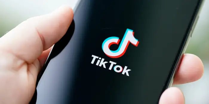 TIKTOk: ' ART OF THE ZOO