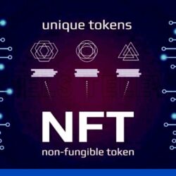 Get all the basic information about the Non-Fungible Tokens.