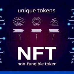 Get all the basic information about the Non-Fungible Tokens.